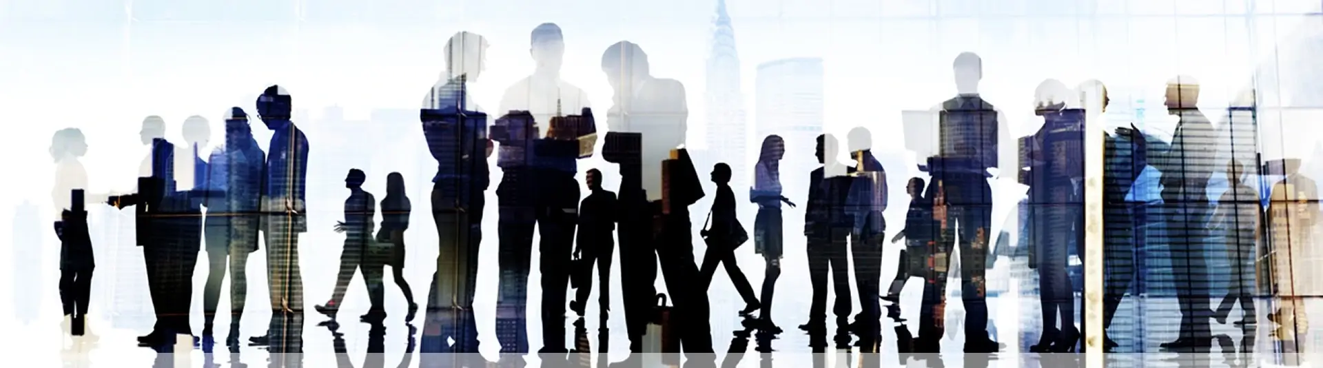 Our Services